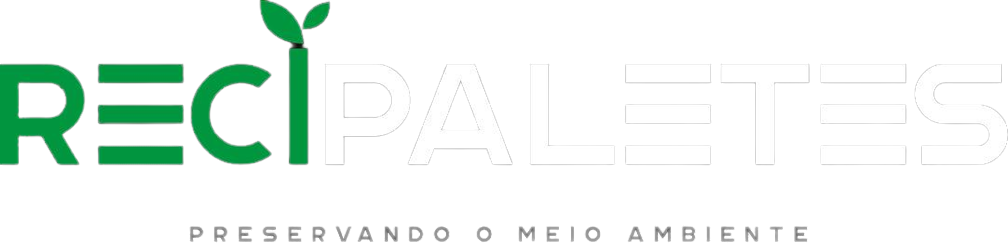 recipaletes-removebg-preview